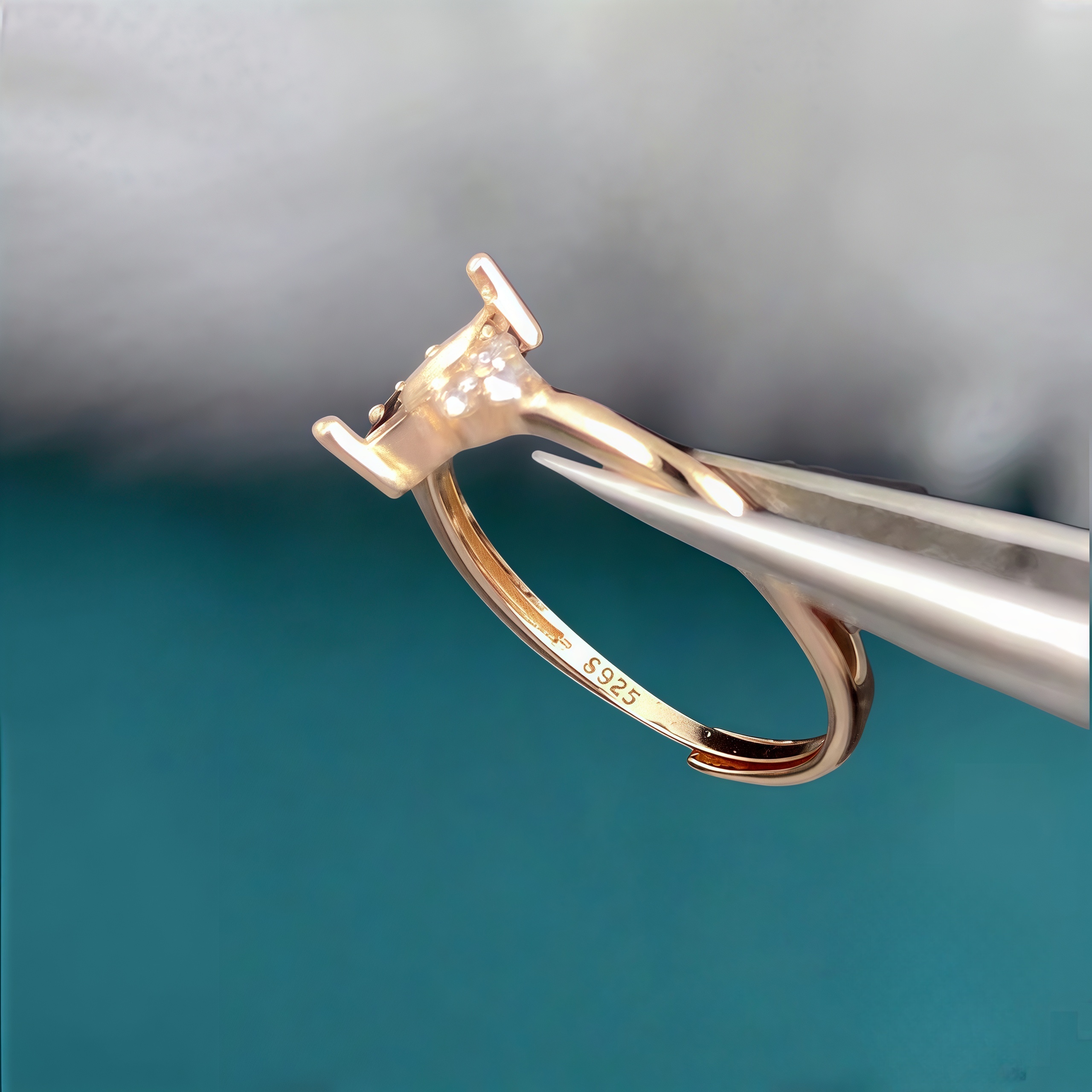 view